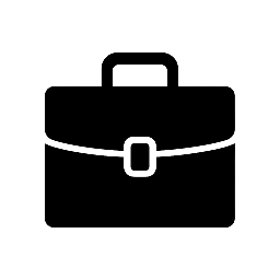 Vichelle ™ – The Art of Intelligent Advantage